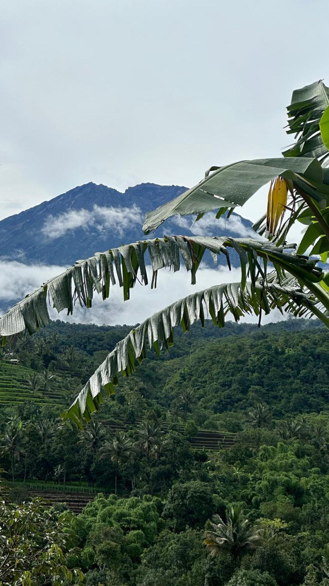 Laa Lombok Glamping *