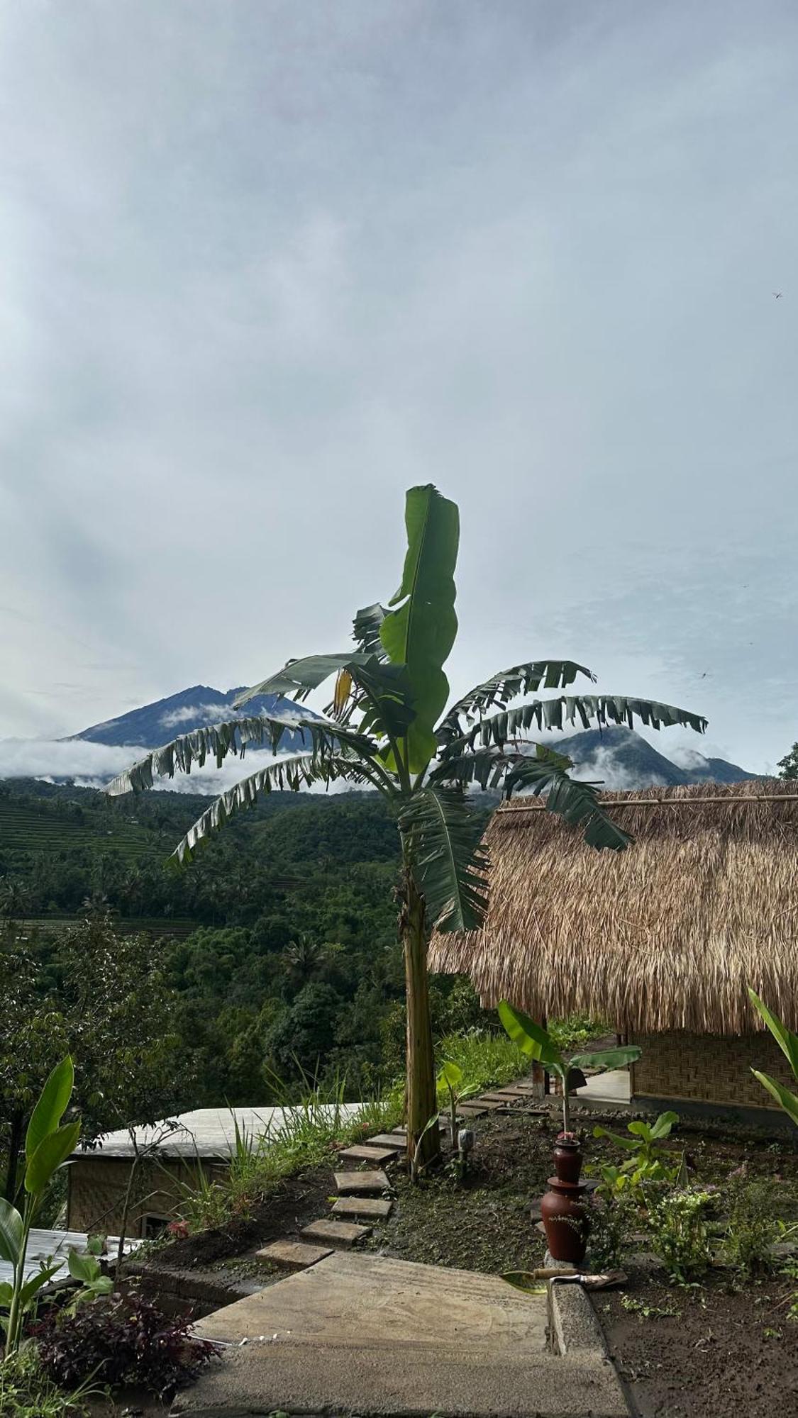 Laa Lombok Glamping *
