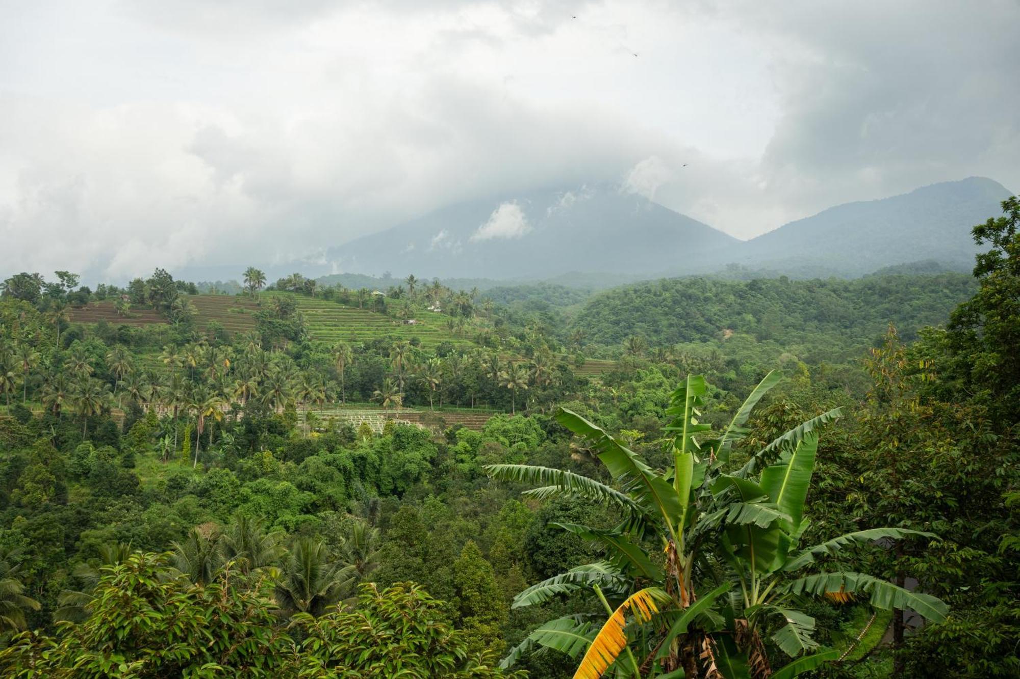 Laa Lombok Glamping Séjour chez l'habitant Sapit